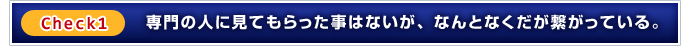 Check1：専門の人に見てもらった事はないが、なんとなくだが繋がっている。